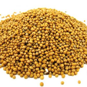 Горчица белая, горчица английская, 50г.