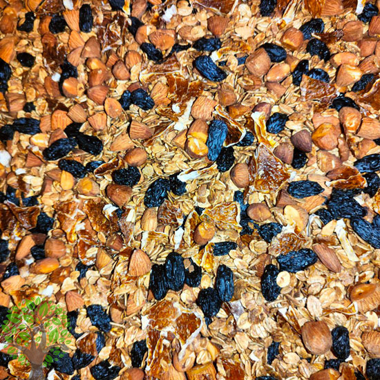 Гранола з сушеним мандарином